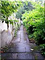 Westbourne: footpath A10 descends to Prince of Wales Road