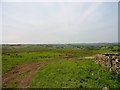 View west from the Waskerley Way