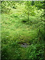 Footpath crossing Shibden Brook, Queensbury