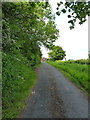 A short stretch of the Old Road at Long Lane