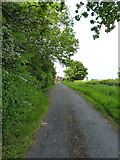 SJ6315 : A short stretch of the Old Road at Long Lane by Richard Law