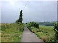 Bicknor Lane, near Bredgar