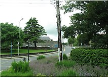 J0406 : The Crescent Roundabout, The Demesne, Dundalk by Eric Jones