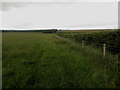 NY0534 : Footpath following a field boundary by Graham Robson