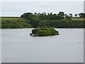 Island in Roadford Lake