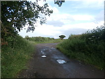 SK4689 : Doles Lane near Upper Whiston by Jonathan Clitheroe