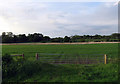 Entrance to a field