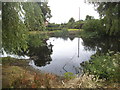 Pond by the A283, Fisherstreet