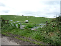 NT9547 : Field entrance south east of Thornton by JThomas
