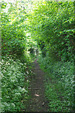 TR1147 : Bridleway running south from Whiteacre Lane by Robin Webster