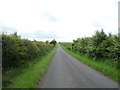 NT9446 : Minor road towards Felkington by JThomas
