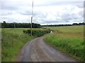 Mintching Wood Lane, near Milstead