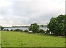 J2933 : Pasture land on the southern shore of Lough Island Reavy Reservoir by Eric Jones