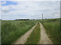 Farm track to Stephenson Wold