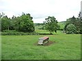 Sheep pasture with empty feeder, near The Dairy