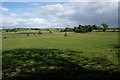 Farmland beside Dowan Road