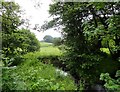 Hedleyhope Burn, Esh Winning