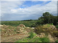 Old pit near Fridaythorpe