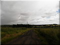 Farm track at Bandon