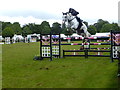 176th Omagh Annual Agricultural Show 2016 -83