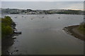 River Tamar