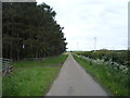 NU1422 : Minor road towards North Charlton  by JThomas