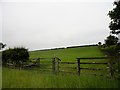 NZ1842 : Fence in fields west of Esh Winning by Robert Graham