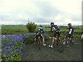 Cycle race spectators