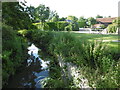 The River Bourne from Pierce Mill Lane