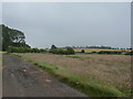 Track and Farmland near Hardwick