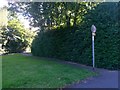 Malmesbury Park: footpath C20 from its northern end