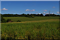 TQ4363 : Fields south of Farnborough by Christopher Hilton