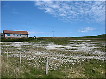 HU5463 : A field at Marrister, Whalsay by David Purchase