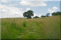 Footpath near Mill Farm, Great Maplestead