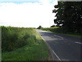 TL9682 : A1066 Thetford Road, Gasthorpe by Geographer