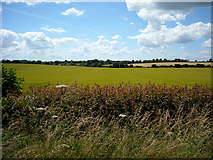 SP1101 : Arable fields opposite Field Barn by Vieve Forward