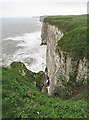 TA1974 : Bempton Cliffs by Anne Burgess