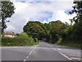 A3052 on the wooded Boshill Hill