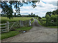 SP2852 : Driveway to the Old Rectory by David P Howard