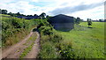 Lane at Dan-y-bwlch