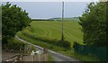 Lane north from the level crossing at Talerddig