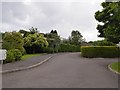 Access road to a group of modern bungalows in Shalford Terrace, Whitford