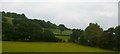 North side of Afon Carno valley, below Plasnewydd