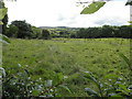 Carryglass Townland