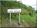 Ludchurch Cross - new road sign - LIME ROAD