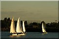 TQ4590 : View of sailing boats on the lake in Fairlop Waters #28 by Robert Lamb