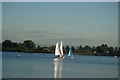 TQ4590 : View of sailing boats on the lake in Fairlop Waters #37 by Robert Lamb
