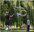 TQ3092 : Blowing Bubbles in Broomfield Park, London N13 by Christine Matthews