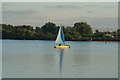 TQ4590 : View of a sailing boat on the lake in Fairlop Waters #24 by Robert Lamb