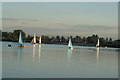 TQ4590 : View of sailing boats on the lake in Fairlop Waters #61 by Robert Lamb